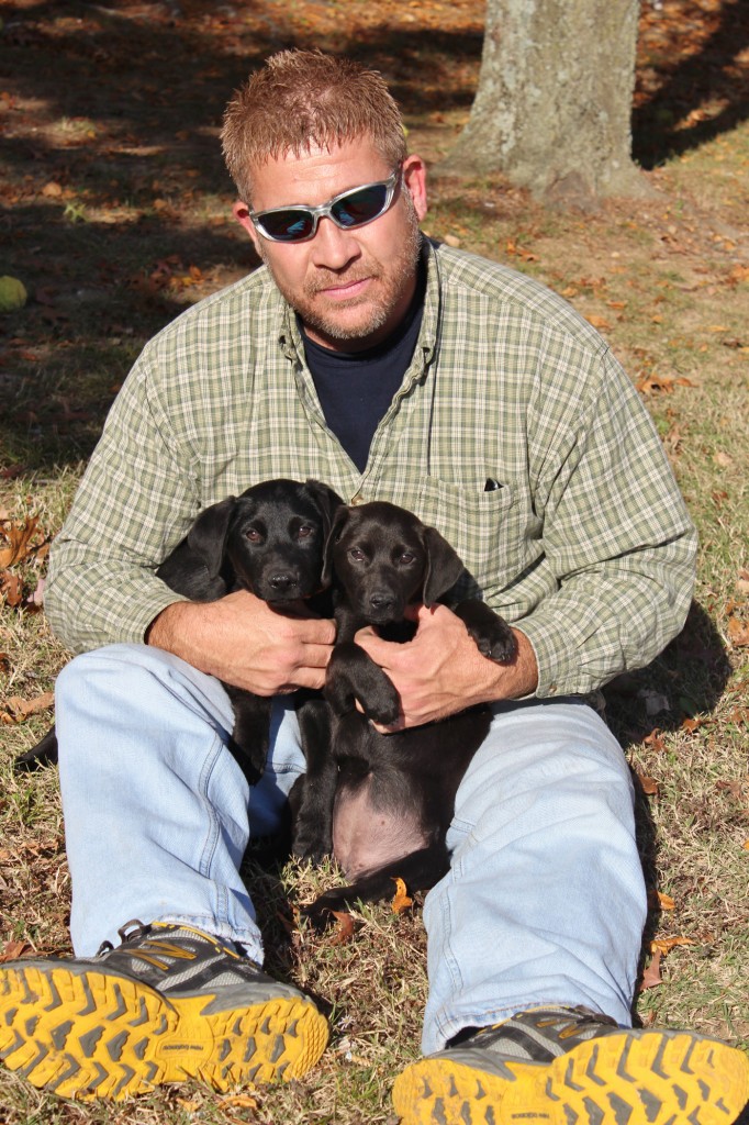 KC black lab pups 4