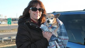 kelly pup transport kelly pup transport