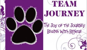 Team Journey Magnet